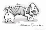 собака