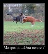 увороты