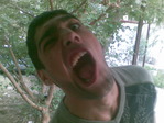 parali4