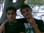 dostlar