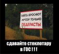 ne sori