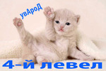 yBapoD
