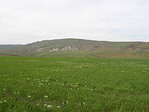 Баку4