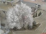 DSC01416