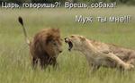 муж ты мне)======================)))