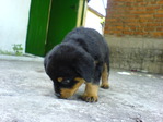DSC00788