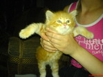 DSC00827