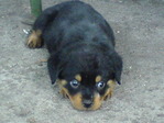 DSC00806