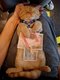 cat07
