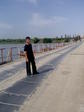 CAVID MOST.jpg