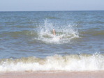 море