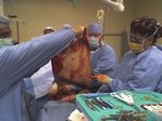 14ep5[1]