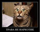 x_ba40b577