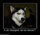 x_62bffe08