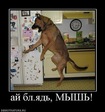 x_7b02c5b2