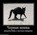 x_7116e1be