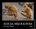 x_264cbe06