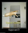 x_ccd000c5