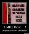 x_c62a5325