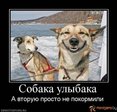x_19a9936c