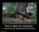 x_099f675c
