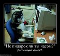 aEiZEG6c7JHFBFQ2V0NpYgsXIO4bqL41kHtF2gNXtSxQ