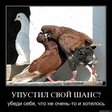 x_998f0c43