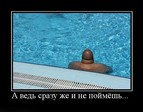 O_O