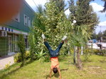 Foto008