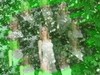 Illusion_1