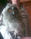 Images 012