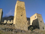 Image(124).jpg
