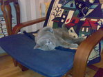 08102007292.jpg
