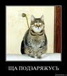 4ri58qz95901