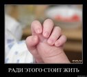 x_0768f38f