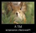 g7y9301a2hhy