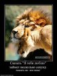 x_a9661e2a