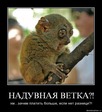 gkg7bjll0apa