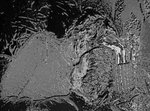 x_0aa6907b.jpg