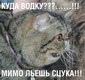Бывают в жизни огорченья))