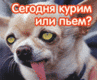 ?)))