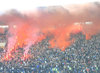 F.C.D.D