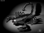 getImage