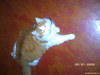 PICT0010
