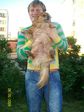 мой любимый пес)