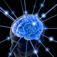 1234264181_brain-763982