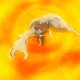 gaaranaruto-kunru-54