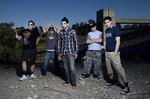 Zebrahead_1