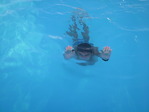 PICT0086