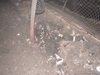 DSC01531